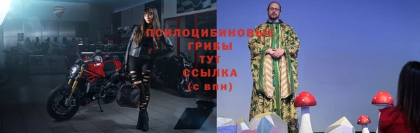 apvp Горняк