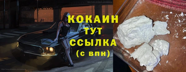 apvp Горняк