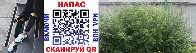Бошки Шишки White Widow Новая Ляля